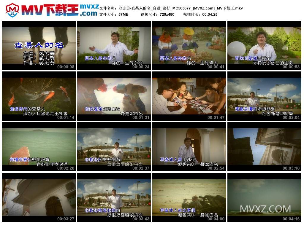 郑志勇-查某人的名_台语_流行_MC503677